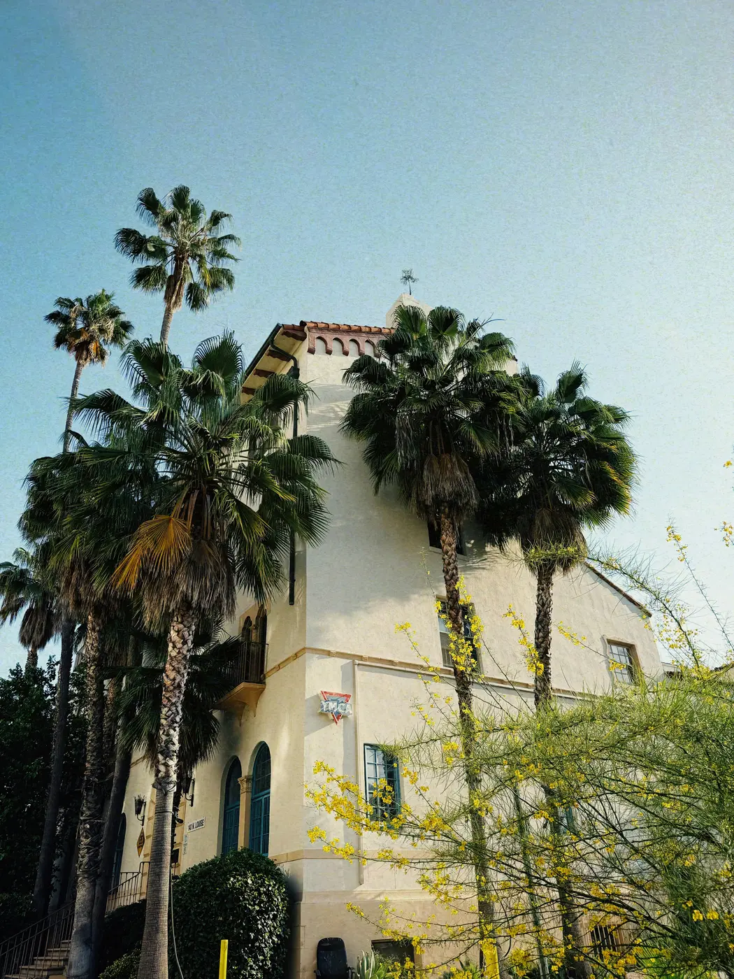 Community center building surrounded by palm trees